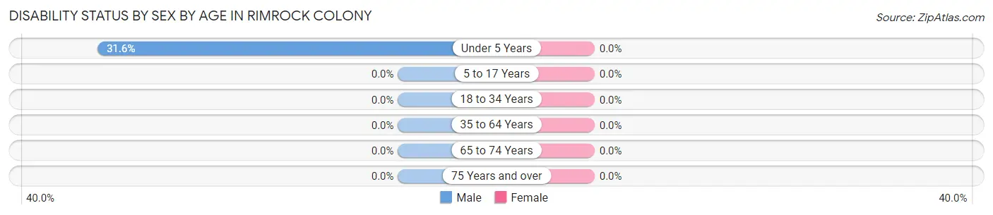 Disability Status by Sex by Age in Rimrock Colony