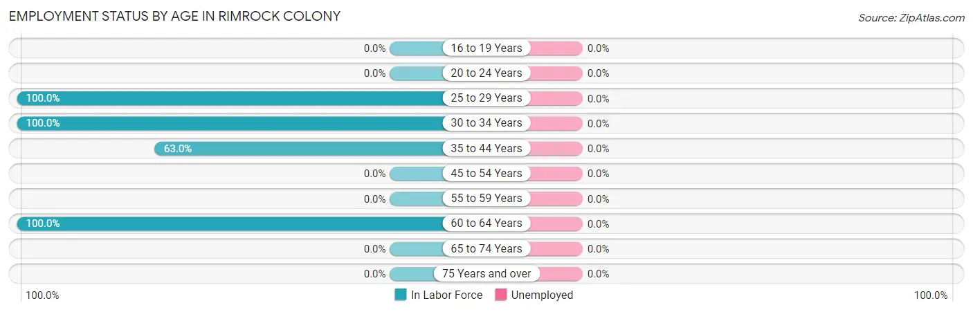 Employment Status by Age in Rimrock Colony