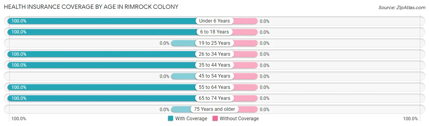 Health Insurance Coverage by Age in Rimrock Colony