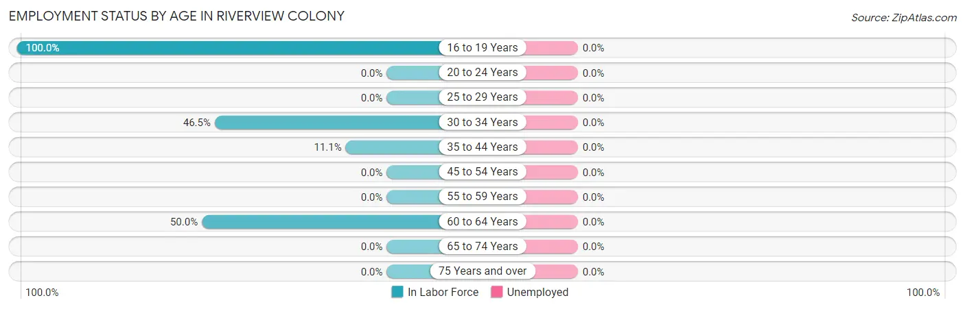 Employment Status by Age in Riverview Colony