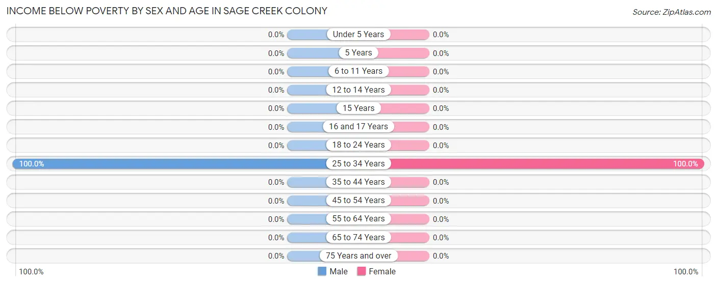 Income Below Poverty by Sex and Age in Sage Creek Colony