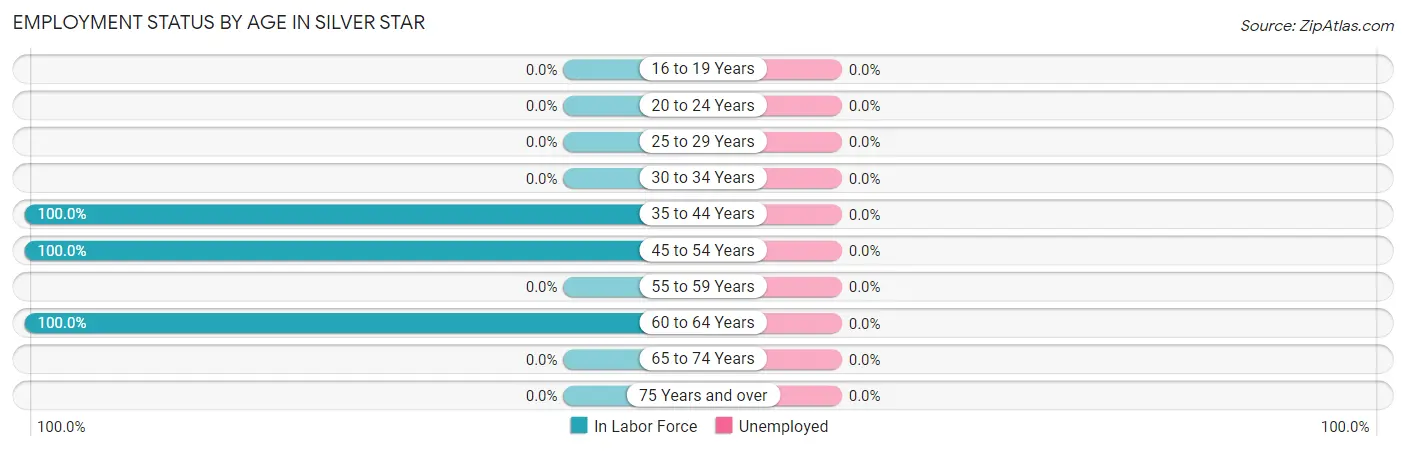 Employment Status by Age in Silver Star