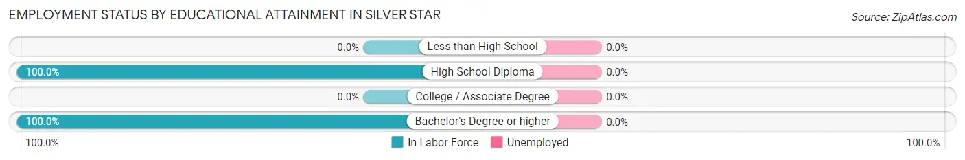 Employment Status by Educational Attainment in Silver Star
