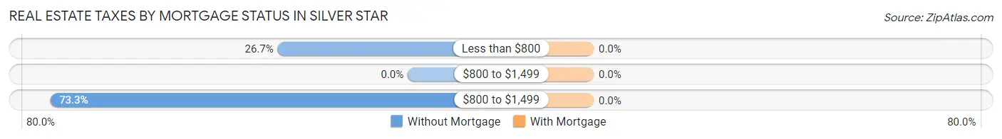 Real Estate Taxes by Mortgage Status in Silver Star