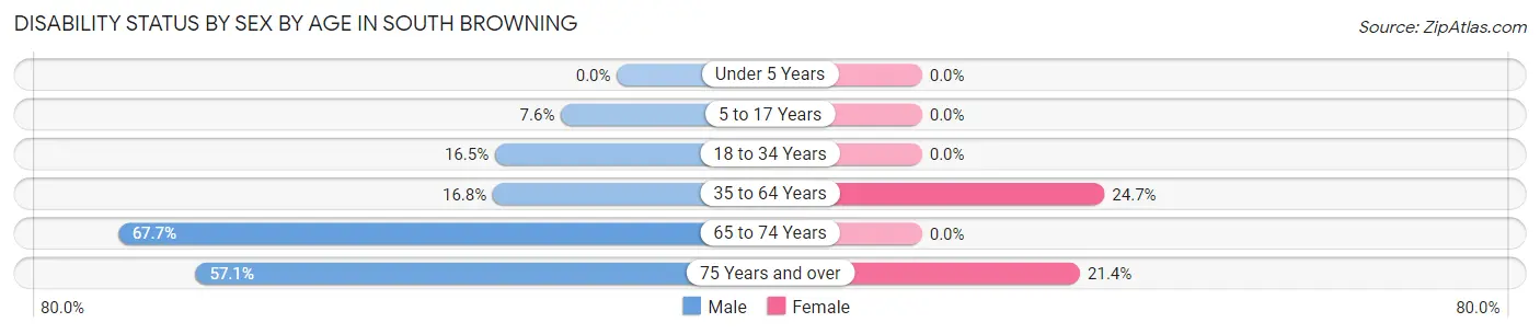 Disability Status by Sex by Age in South Browning
