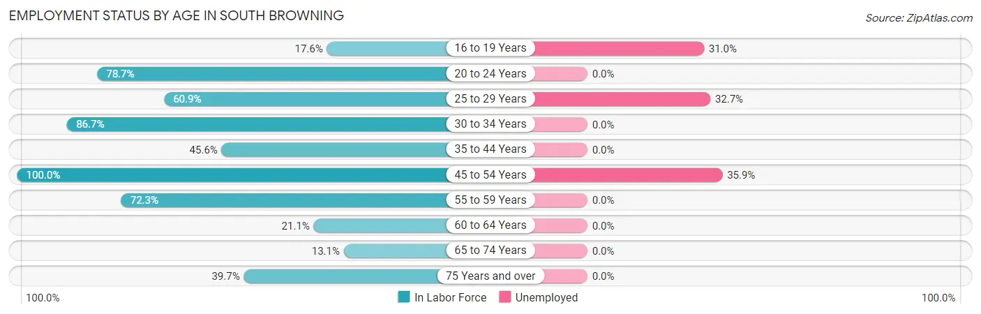 Employment Status by Age in South Browning