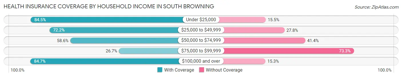 Health Insurance Coverage by Household Income in South Browning