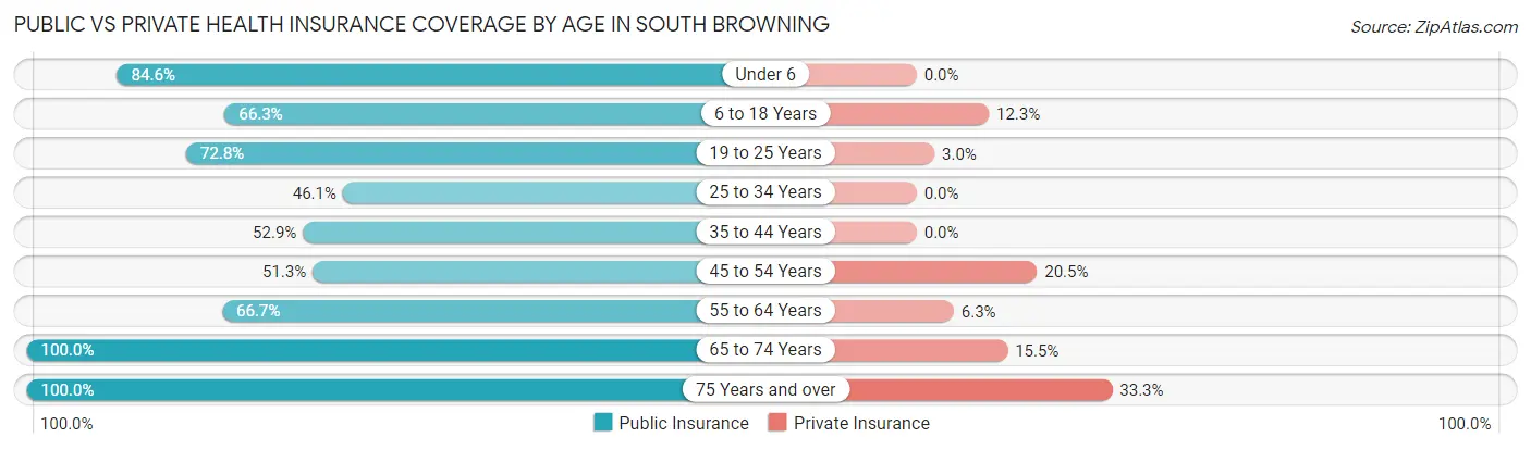 Public vs Private Health Insurance Coverage by Age in South Browning