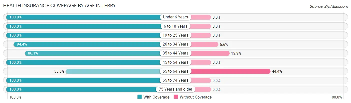 Health Insurance Coverage by Age in Terry