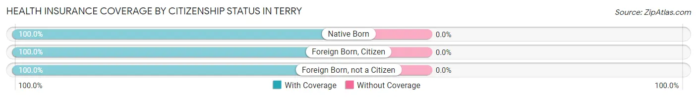 Health Insurance Coverage by Citizenship Status in Terry