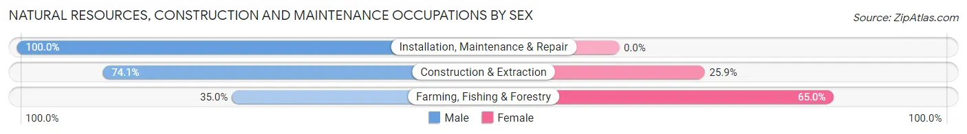 Natural Resources, Construction and Maintenance Occupations by Sex in Three Forks