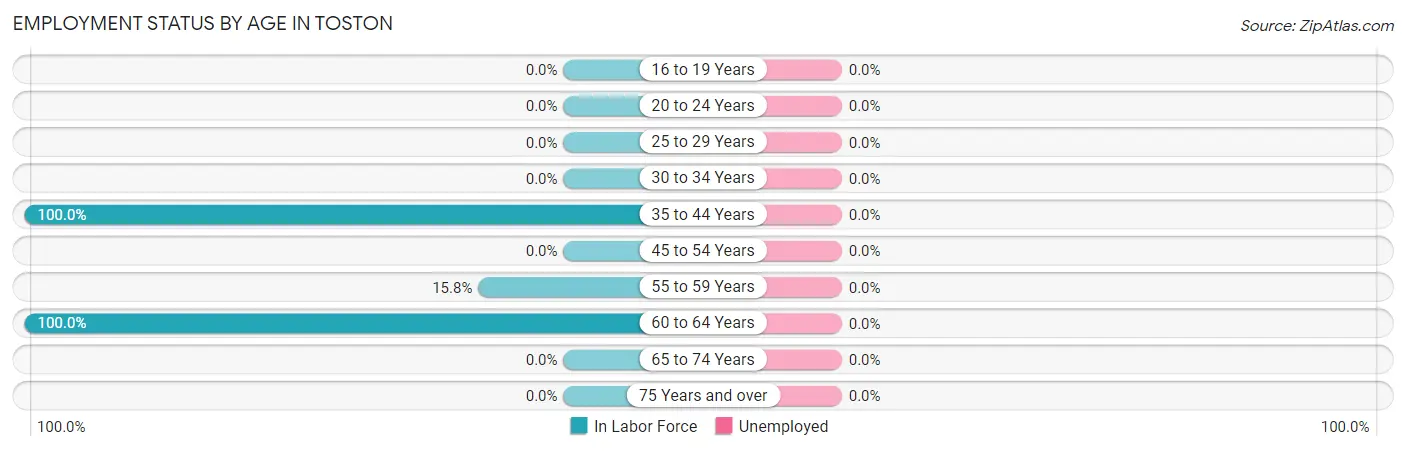 Employment Status by Age in Toston