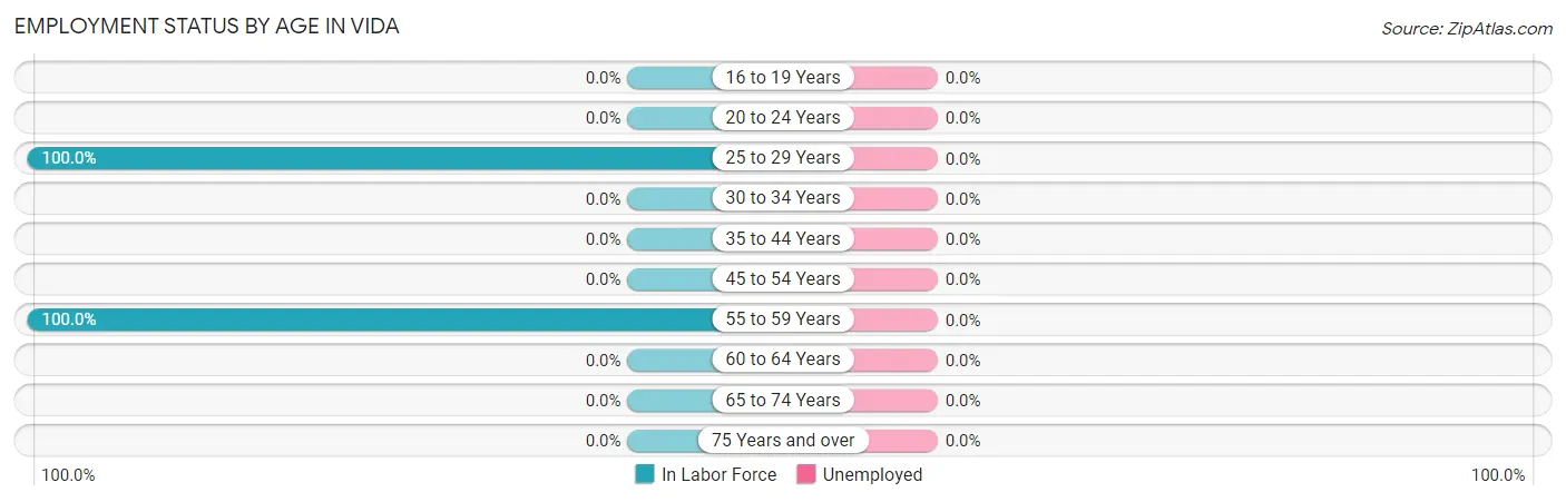 Employment Status by Age in Vida