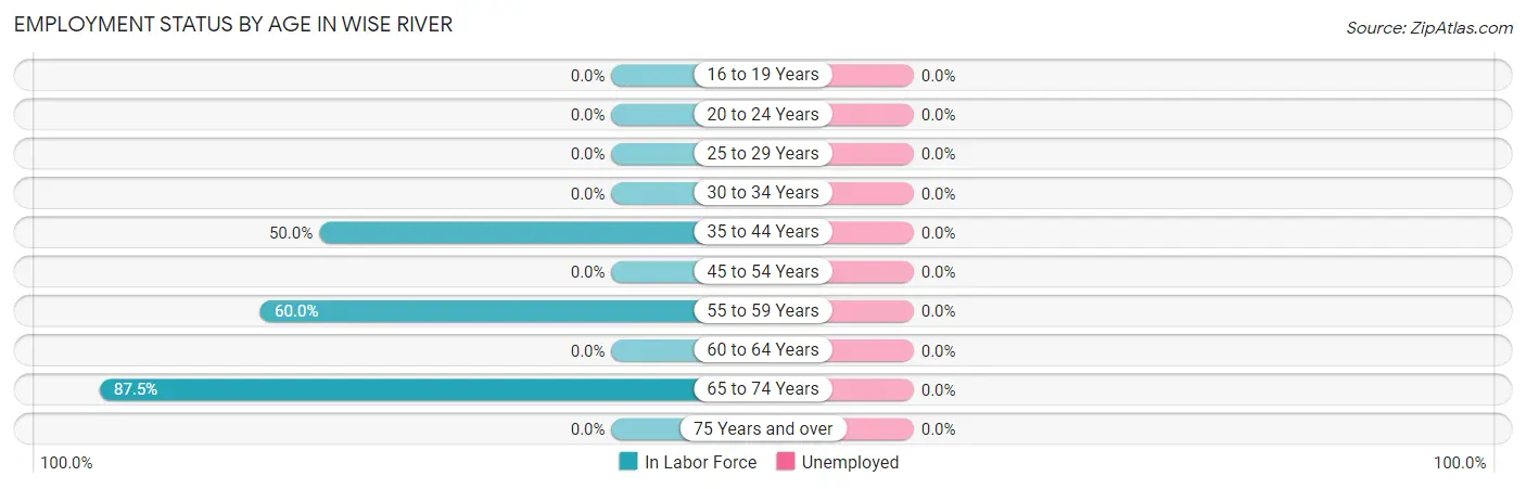 Employment Status by Age in Wise River