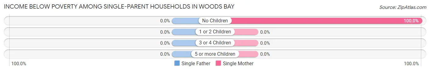 Income Below Poverty Among Single-Parent Households in Woods Bay