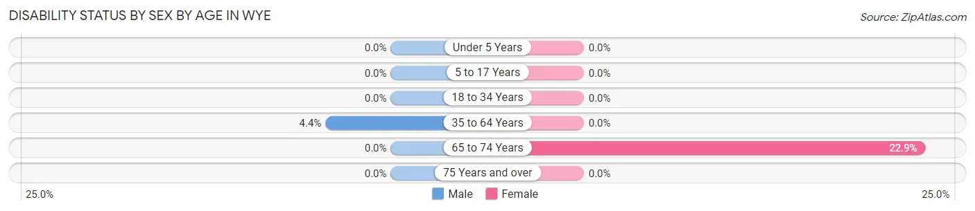 Disability Status by Sex by Age in Wye