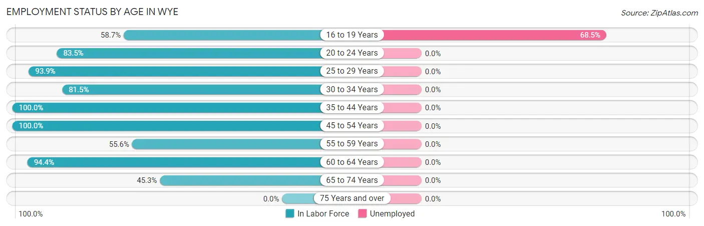 Employment Status by Age in Wye
