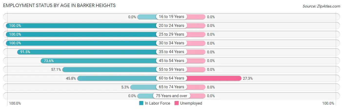Employment Status by Age in Barker Heights