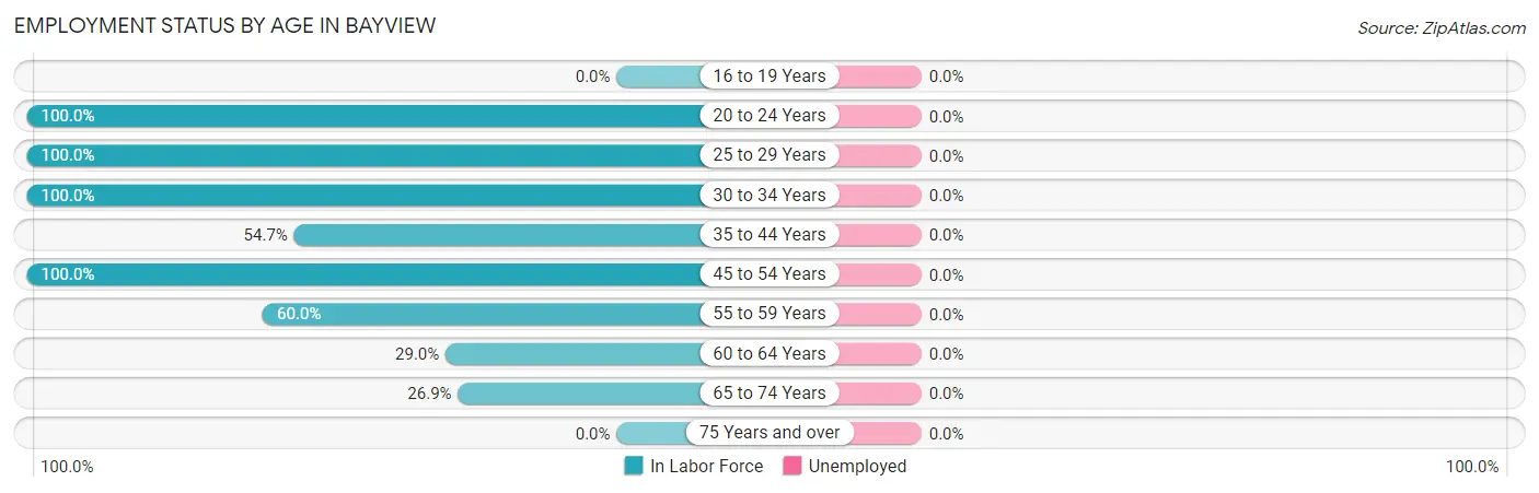 Employment Status by Age in Bayview