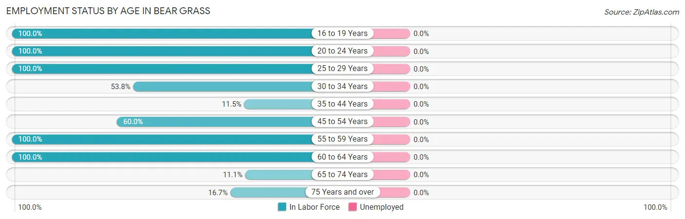 Employment Status by Age in Bear Grass