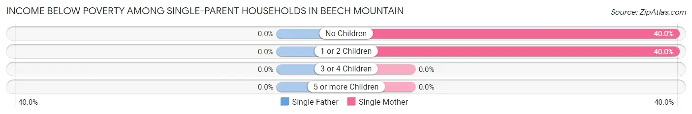 Income Below Poverty Among Single-Parent Households in Beech Mountain