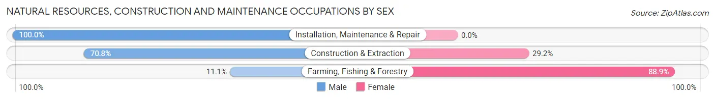 Natural Resources, Construction and Maintenance Occupations by Sex in Belhaven
