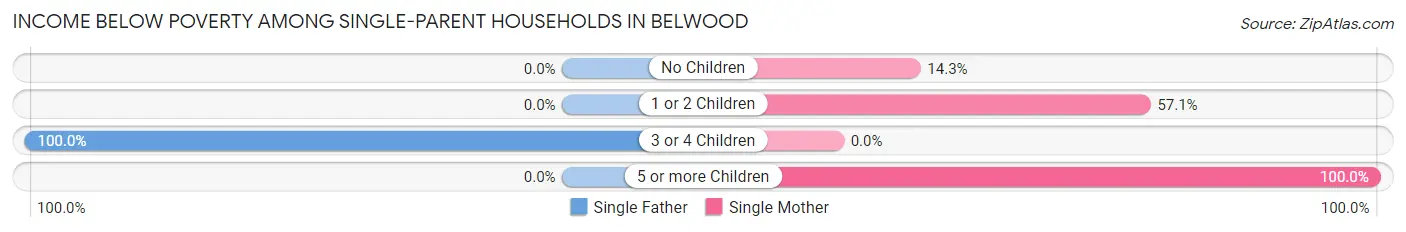 Income Below Poverty Among Single-Parent Households in Belwood