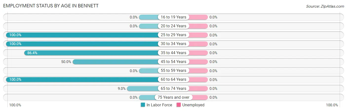 Employment Status by Age in Bennett