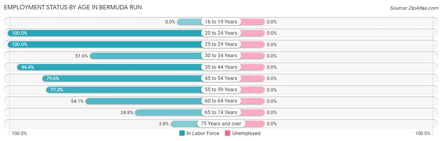 Employment Status by Age in Bermuda Run
