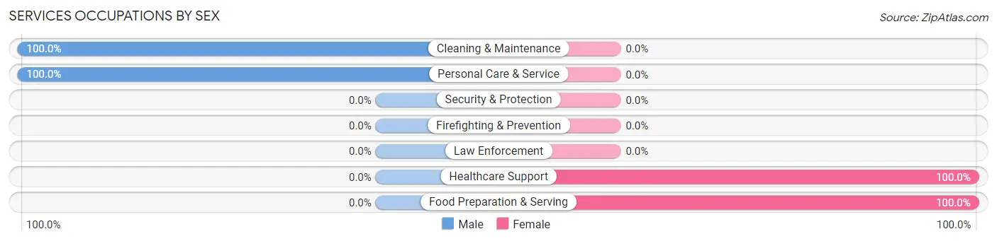 Services Occupations by Sex in Bermuda Run
