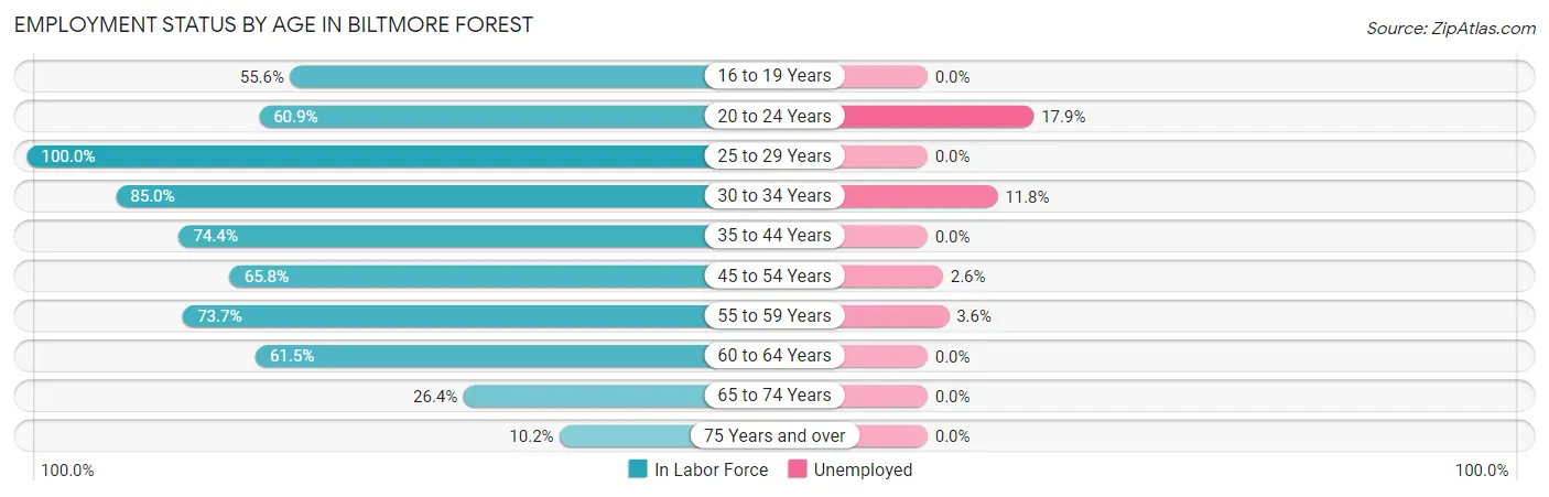Employment Status by Age in Biltmore Forest