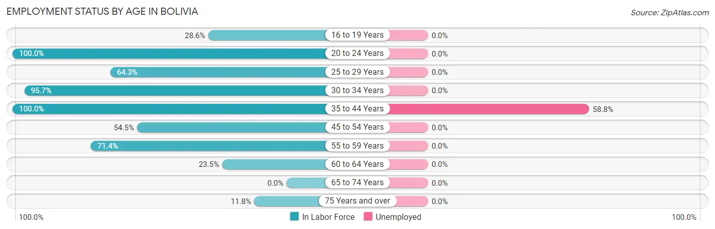 Employment Status by Age in Bolivia