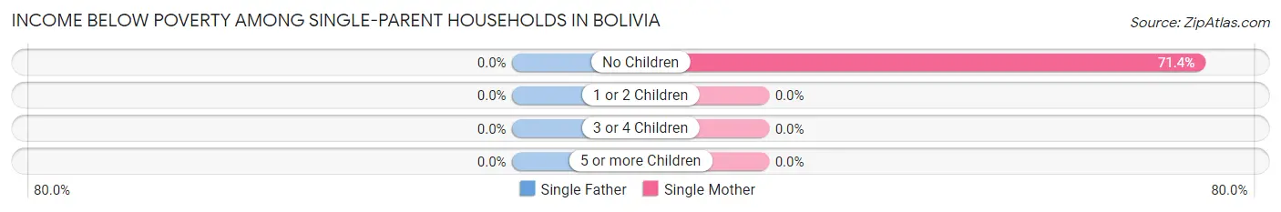 Income Below Poverty Among Single-Parent Households in Bolivia