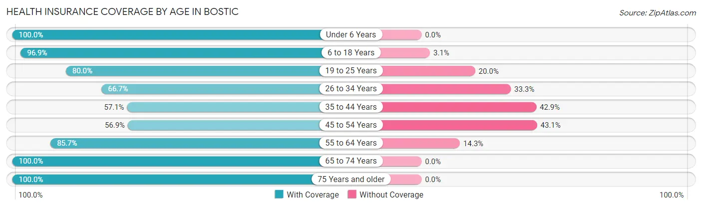 Health Insurance Coverage by Age in Bostic