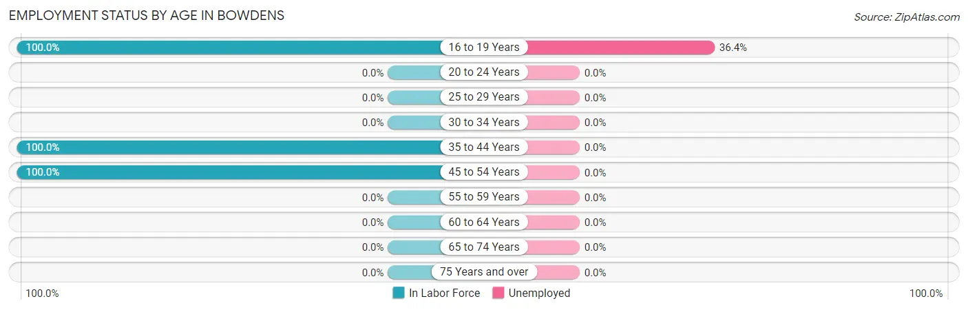 Employment Status by Age in Bowdens