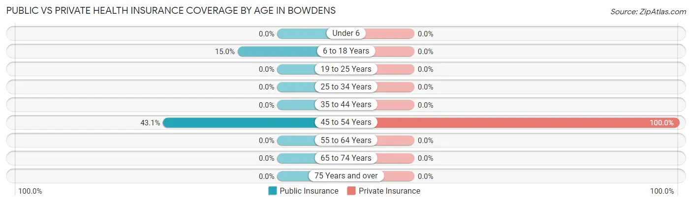 Public vs Private Health Insurance Coverage by Age in Bowdens
