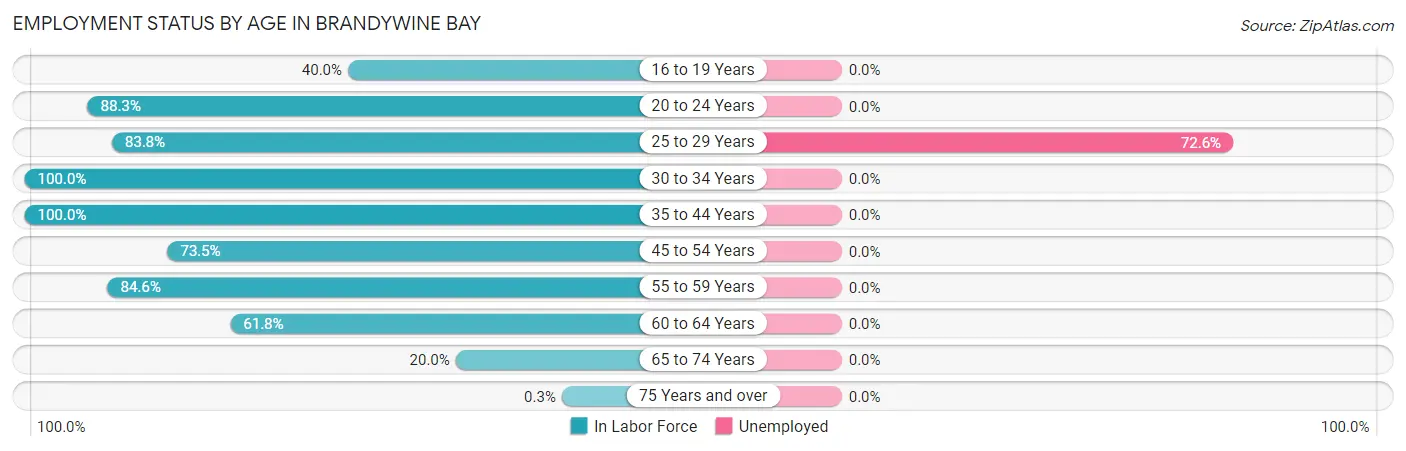 Employment Status by Age in Brandywine Bay