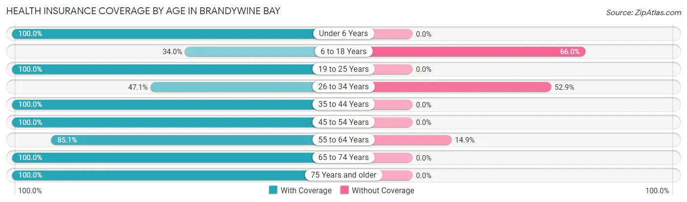 Health Insurance Coverage by Age in Brandywine Bay