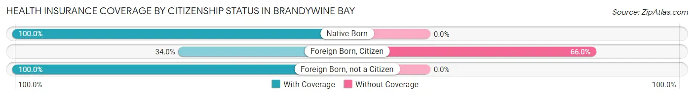 Health Insurance Coverage by Citizenship Status in Brandywine Bay