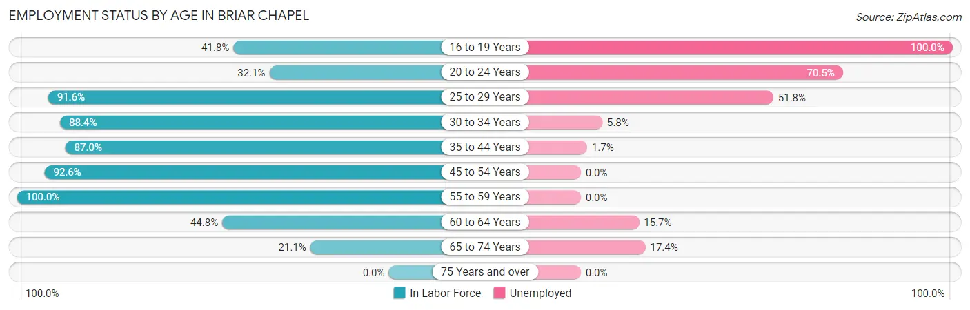 Employment Status by Age in Briar Chapel