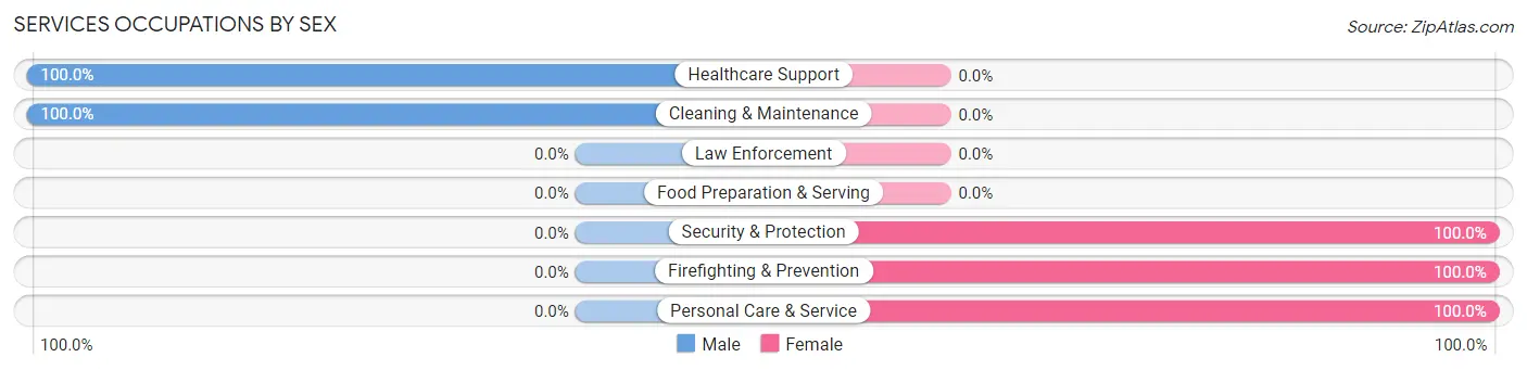 Services Occupations by Sex in Briar Chapel