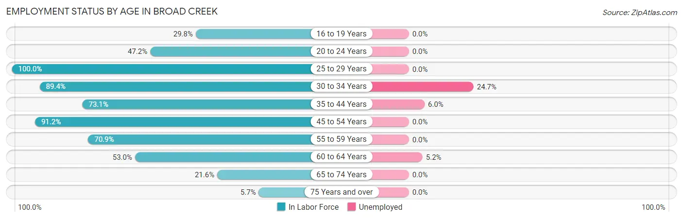 Employment Status by Age in Broad Creek