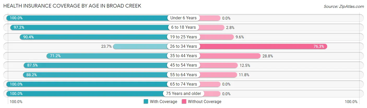 Health Insurance Coverage by Age in Broad Creek