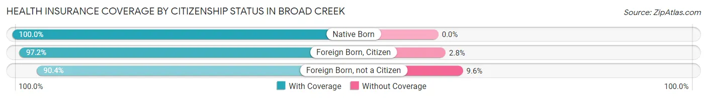 Health Insurance Coverage by Citizenship Status in Broad Creek