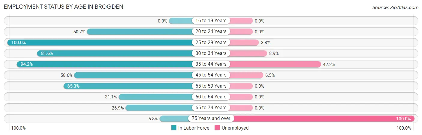 Employment Status by Age in Brogden