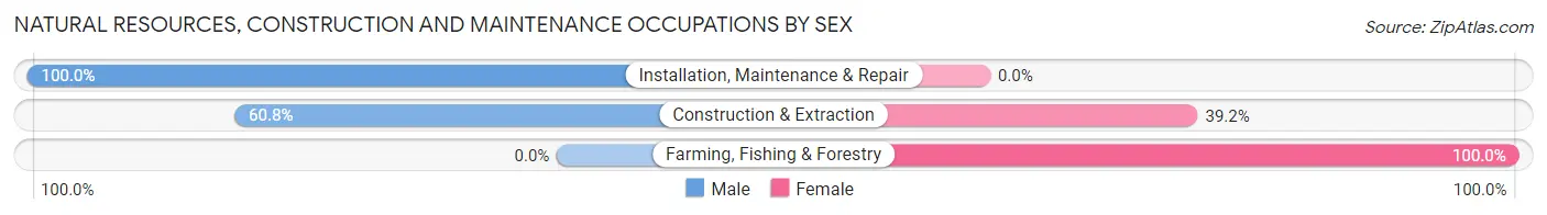 Natural Resources, Construction and Maintenance Occupations by Sex in Brogden