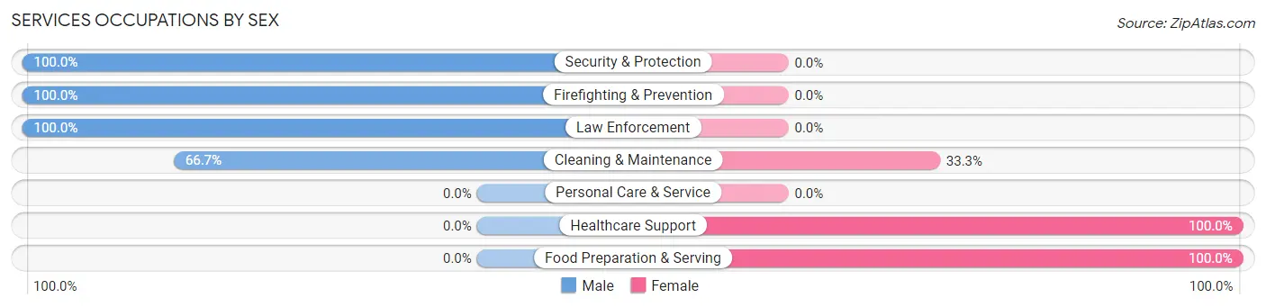 Services Occupations by Sex in Brookford