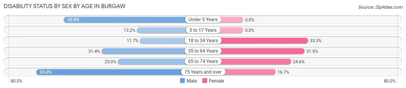 Disability Status by Sex by Age in Burgaw
