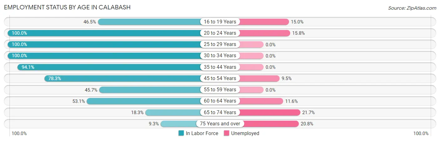 Employment Status by Age in Calabash