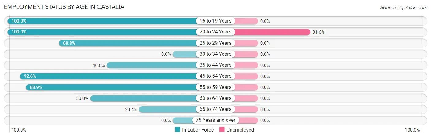 Employment Status by Age in Castalia